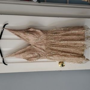 Blondie Nites Nude and Gold Hoco Dress